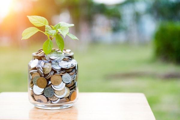 Jar of coins with a plant growing out of it
