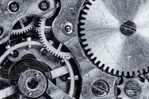 The gears of a watch
