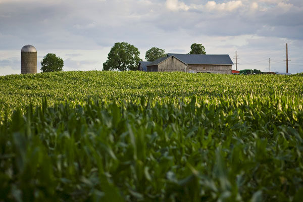 A landscape image of a farm with a field in the foreground.