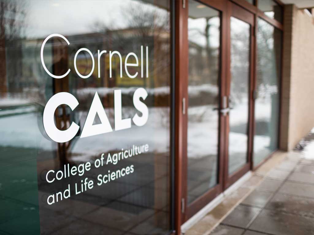 White Cornell College of Agriculture and Life Sciences logo on a window.