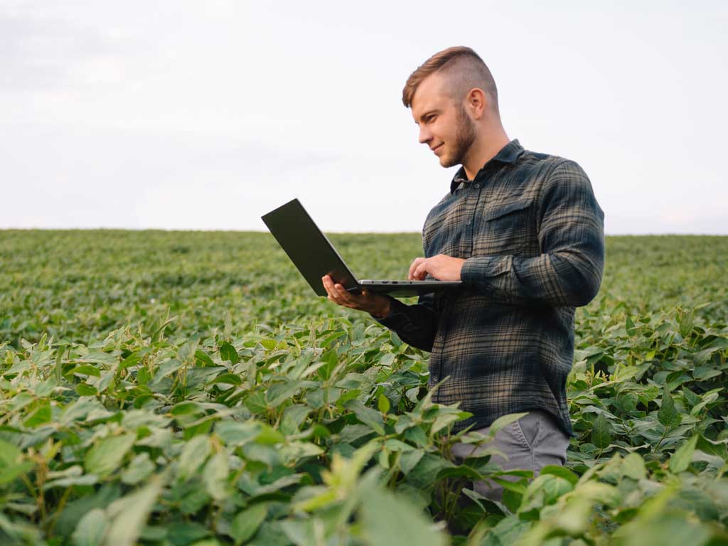 A man works on a laptop in a field.