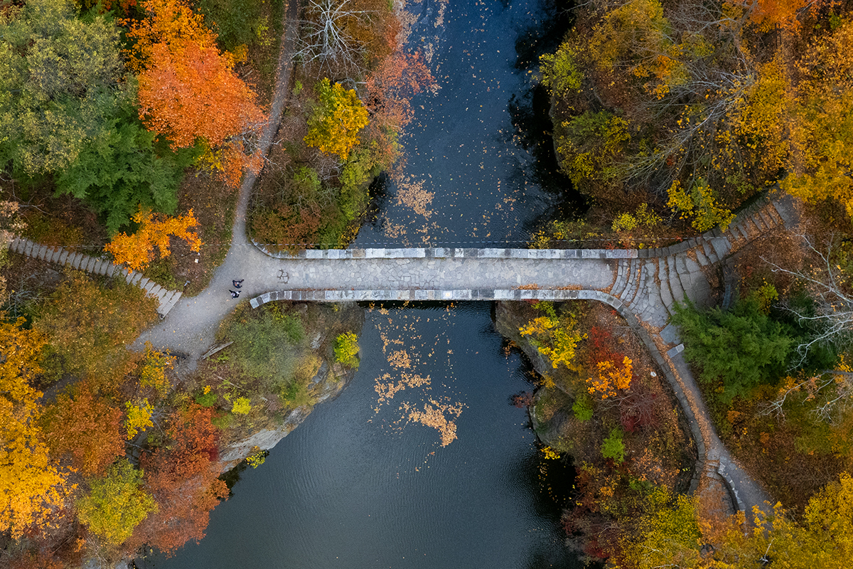 Aerial view of fall foliage in Ithaca, NY flanking a river.