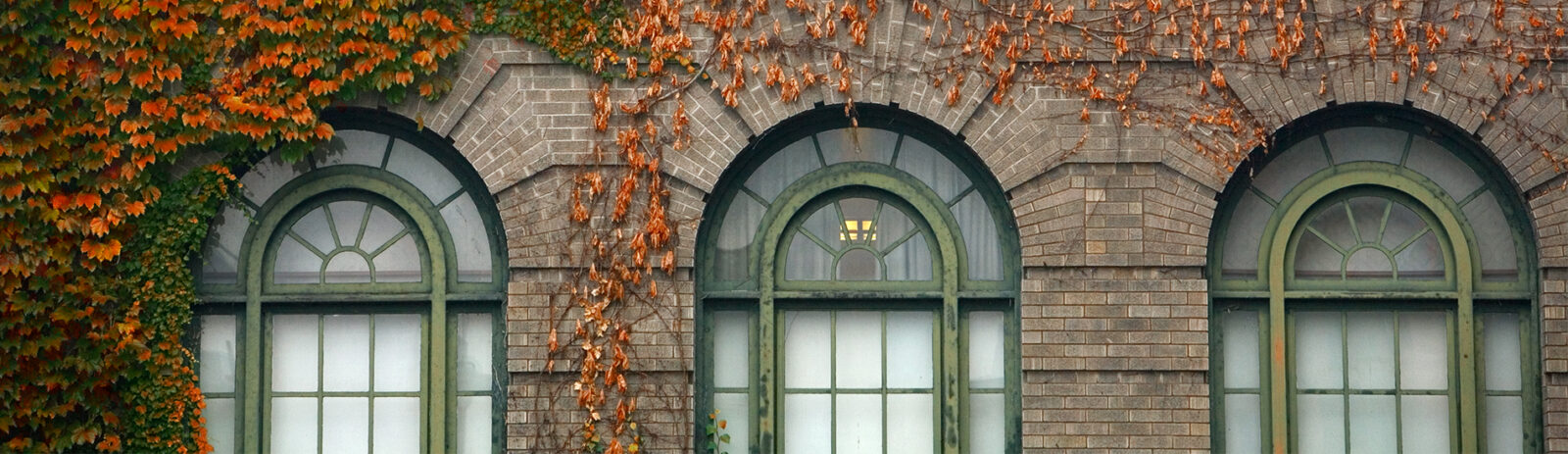 Three green windowpanes on Warren Hall with orange ivy climbing the wall.