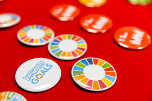 UN SDG Pins at the Grand Challenges Pitch Competition