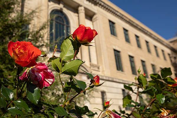 An exterior photo of Warren hall with flowers in the foreground.