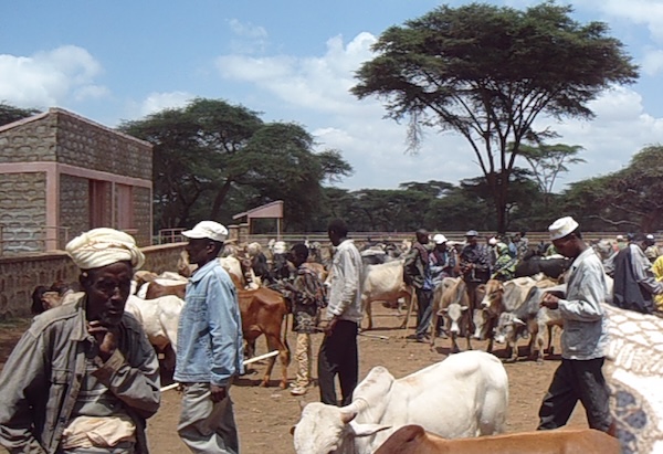 Men gather with livestock in a parched landscape.