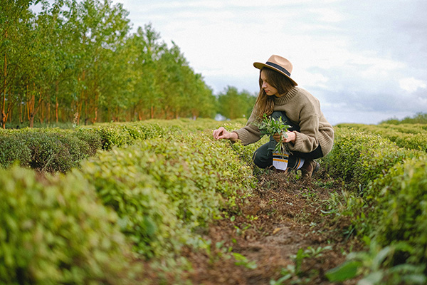 Woman working on a ranch